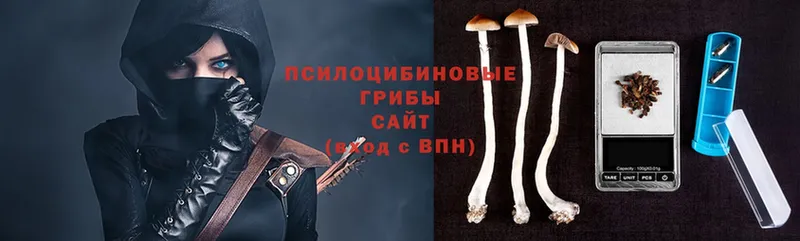 мега вход  Новоалтайск  Галлюциногенные грибы MAGIC MUSHROOMS 